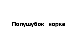 Полушубок  норка